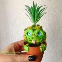 Customizable baby succulent creature plant - adorable fantastic creature - unusual gift for mom and friend