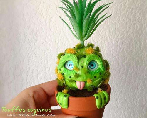 Plante créature succulente bébé pousse à personnaliser - créature fantastique mignon - cadeau insolite à offrir pour maman et amie