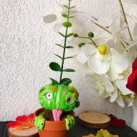 Planta criatura personalizable - gran crecimiento - regalo para ofrecer - flores a domicilio