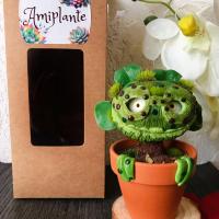 Cadeau insolite - plante originale - fleur fantastique