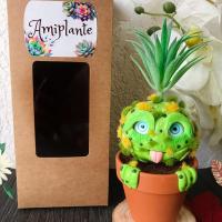 Adorable plante fantastique style mandragore à offrir - pot en terre cuite - cadeau prêt à offrir avec emballage