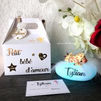 A beautiful birth gift for a baby, a unique and original gift idea, personalized giraffe baby nightlight