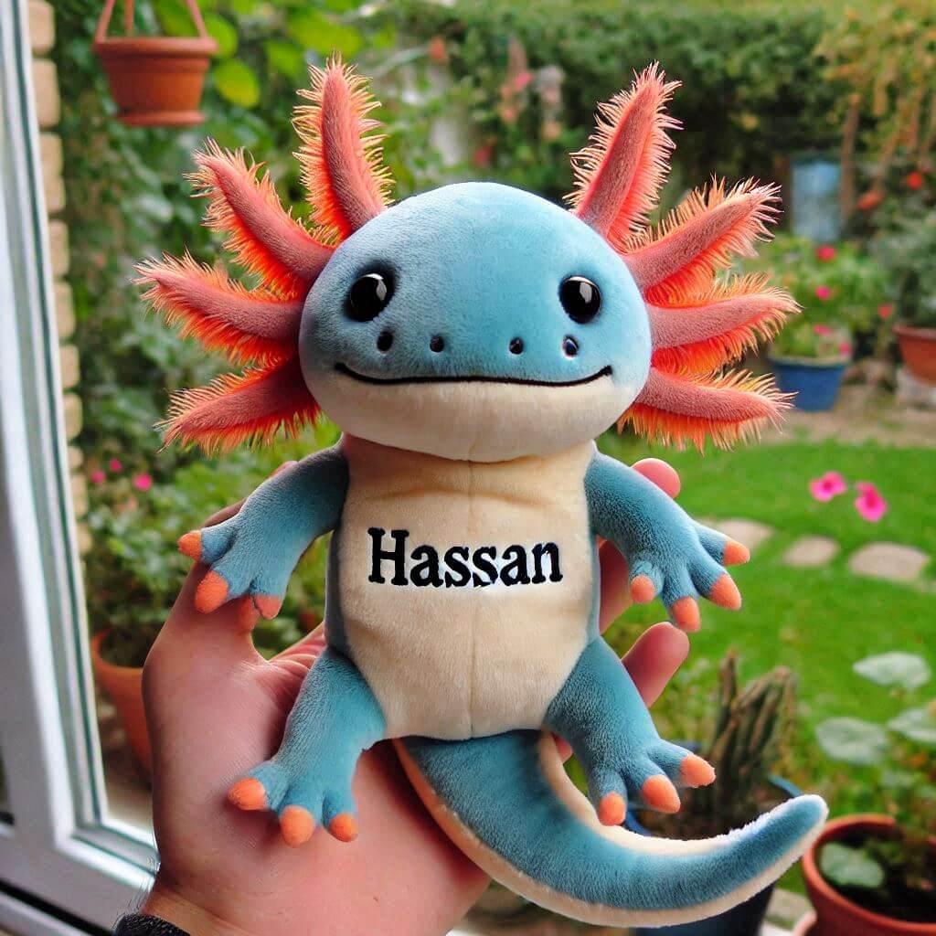 Peluche axolotl personnalisee avec le prenom hassan dans les mains dun petit garcon couleurs vives