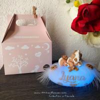 Veilleuse boite cadeau theme cookies